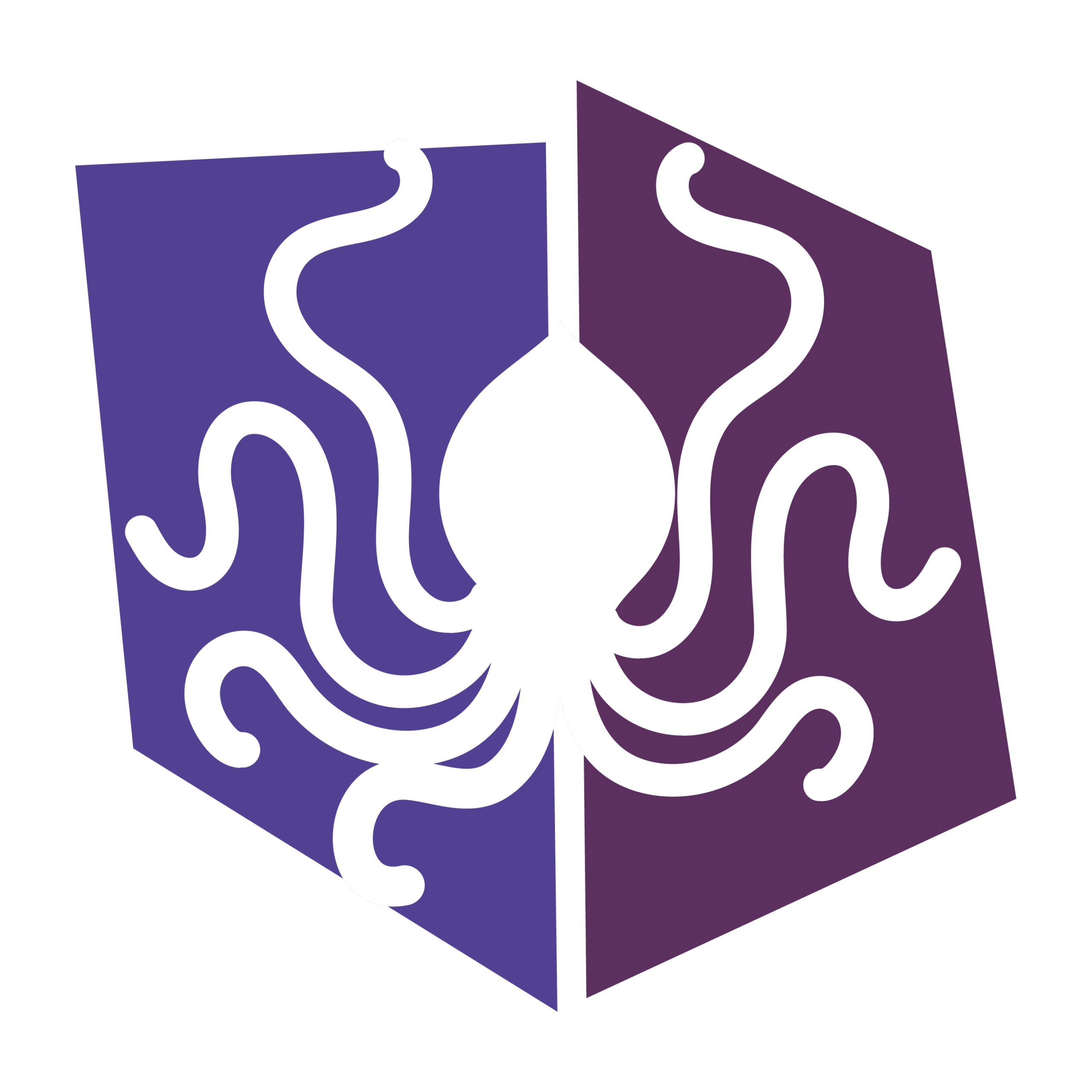 Octopus Innovation